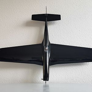 Ornithos_P-51__070