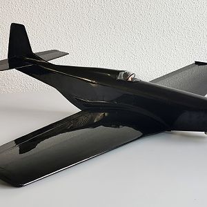 Ornithos_P-51__072