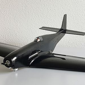 Ornithos_P-51__073