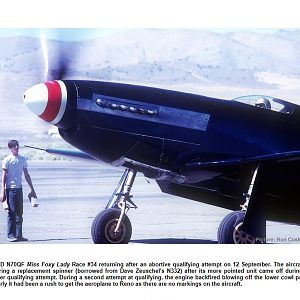 Ornithos_P-51__094