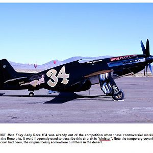 Ornithos_P-51__099