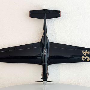 Ornithos_P-51__101