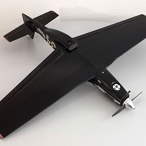 Ornithos_P-51__102