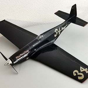 Ornithos_P-51__104