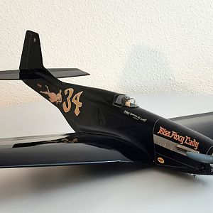 Ornithos_P-51__107