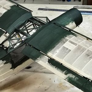 Fieseler_Storch__250