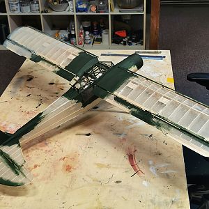 Fieseler_Storch__253