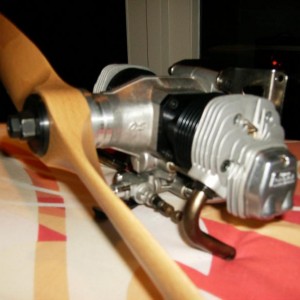 HPIM0559