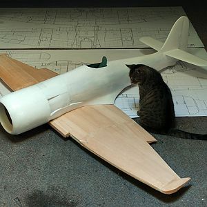Hawker_Sea_Fury