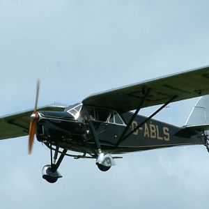 DH_PUSS_MOTH__004