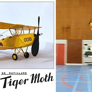 Tiger Moth