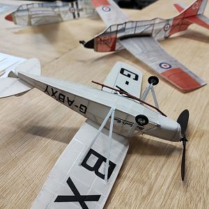 PEANUT_MOTH__072