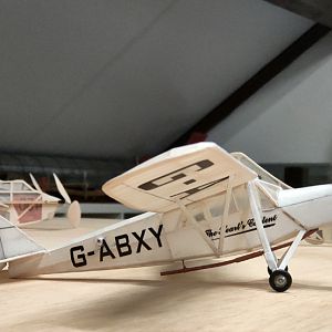 PEANUT_MOTH__073