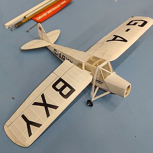 PEANUT_MOTH__076