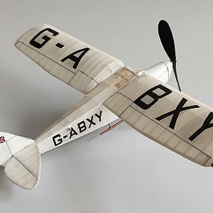 PEANUT_MOTH__079