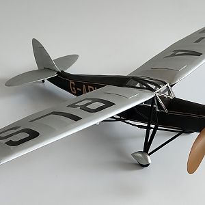 H_PUSS_MOTH__059