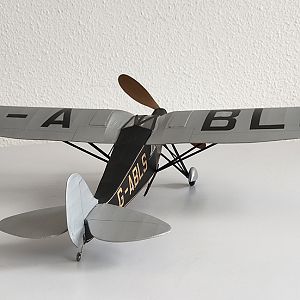 H_PUSS_MOTH__060