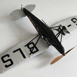 H_PUSS_MOTH__061