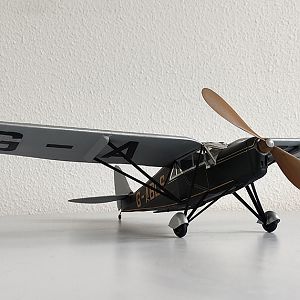 H_PUSS_MOTH__063