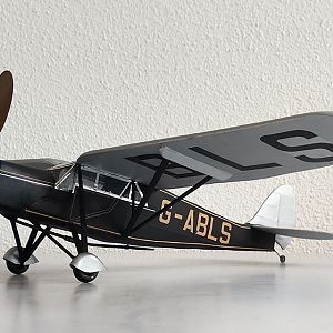 H_PUSS_MOTH__065