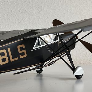 H_PUSS_MOTH__066