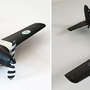 Aerographics_Chipmunk