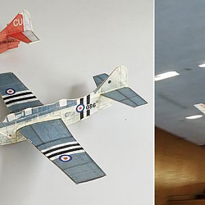 Fairey_Gannet