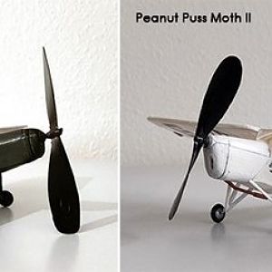 Peanut Puss Moth