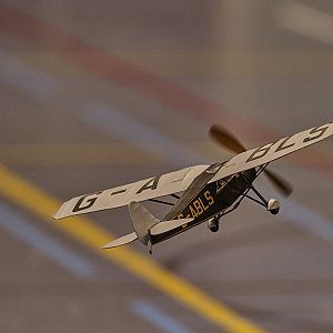 DH_PUSS_MOTH__075