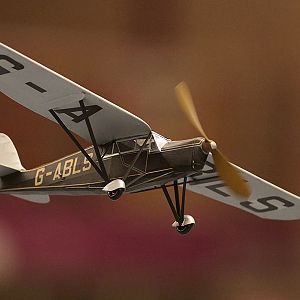 DH_PUSS_MOTH__077