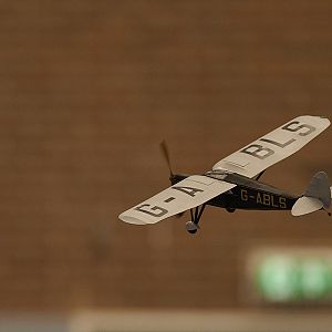DH_PUSS_MOTH__079