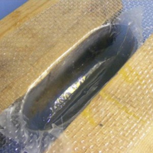 DSCF0101