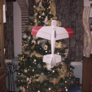 in de kerstboom