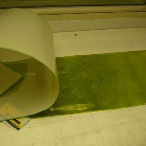 wing 56 peeling the mylar