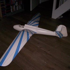 Habicht8
