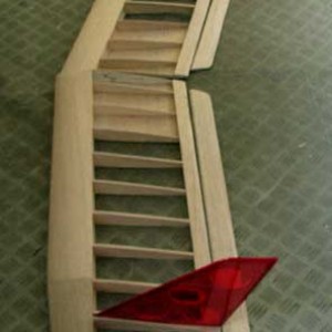 Geier1