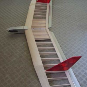 Geier2