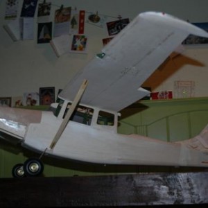 DSC 3917