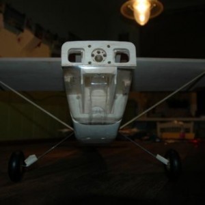 DSC 3919