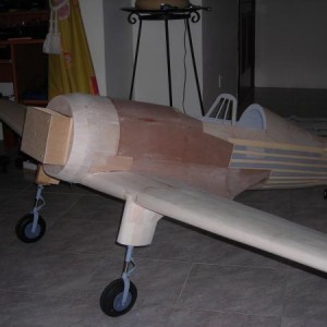 DSCN2351