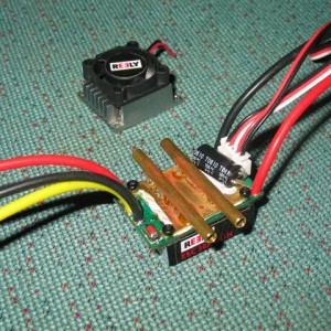 IMG 9388 (Small)