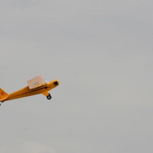 IMG 6313
