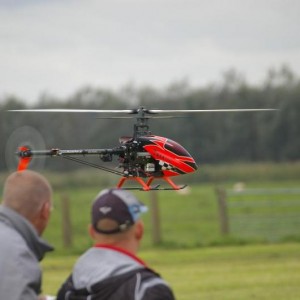 valk 2010