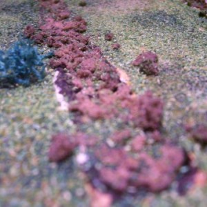 modder spoor van rupsbanden