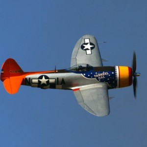 50564346 P47TarheelHal