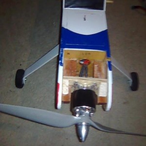 5946.jpg