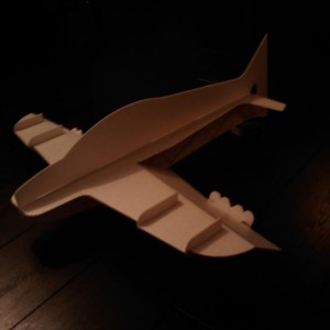 IMAG0441