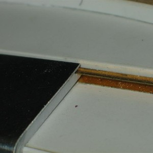 IMG 9806 (Medium)