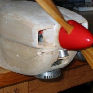 Neus ruwbouw 1