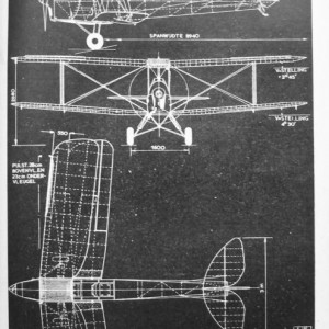 Tiger Moth 5